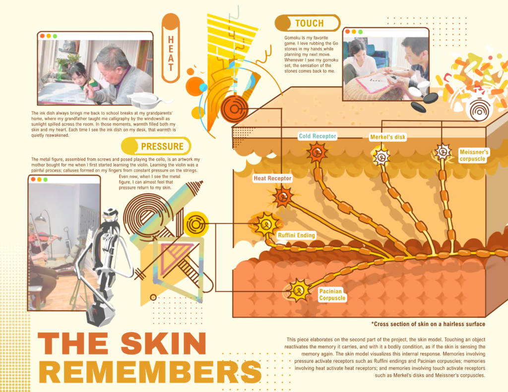 17 the skin remembers